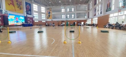陈可欢1